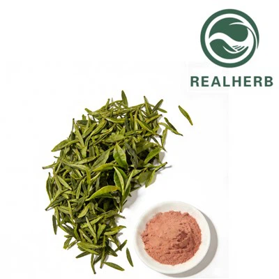 Yeşil Çay Ekstraktı