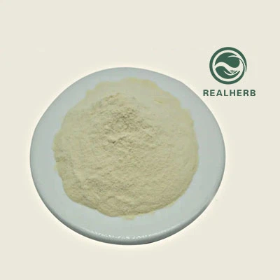 Peynir altı suyu protein tozu bağışıklık sistemimi güçlendirebilir mi?